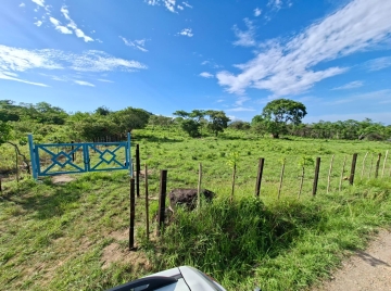 Destacado